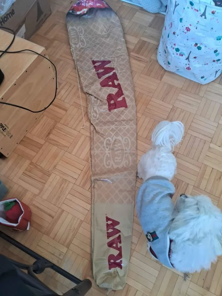 Raw Decor Baloon image indicator(2)