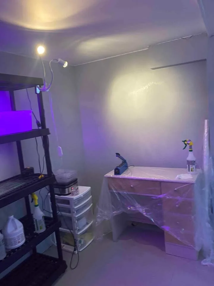 Green House Building image indicator(3)