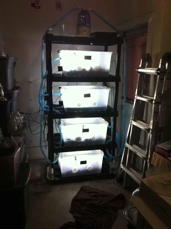 Green House Building image indicator(4)