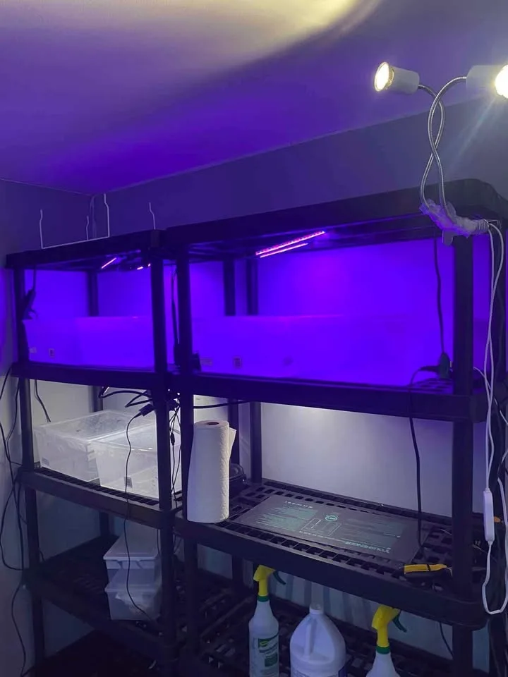 Green House Building image indicator(5)