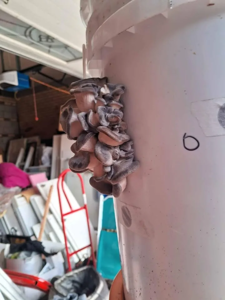 Green House Building image indicator(10)