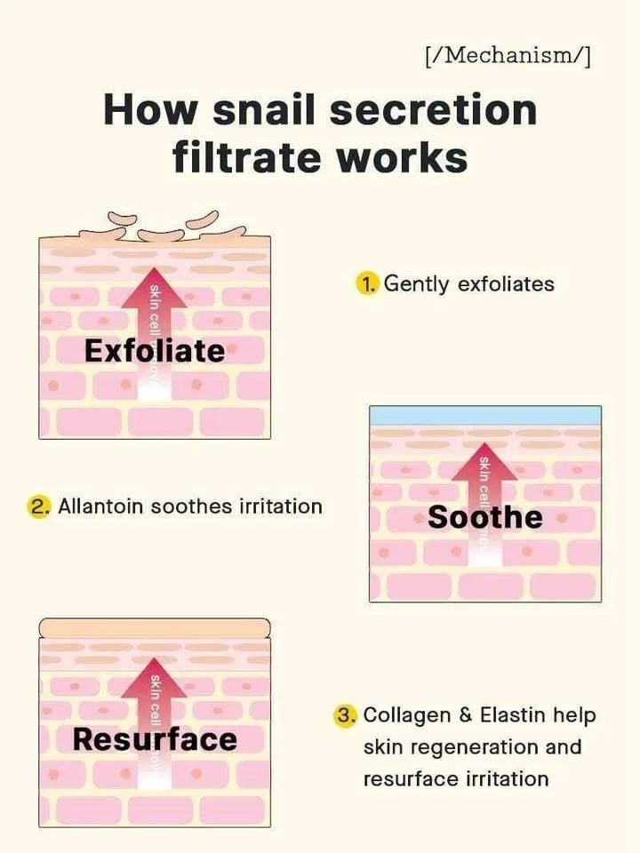 COSRX Snail Mucin Power Essence - BNIB (Only 2 Left!) image indicator(6)