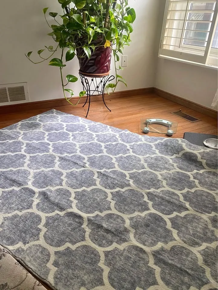 New Washable Rug 4 X 6 feet for Bedroom Entryway Dining Room