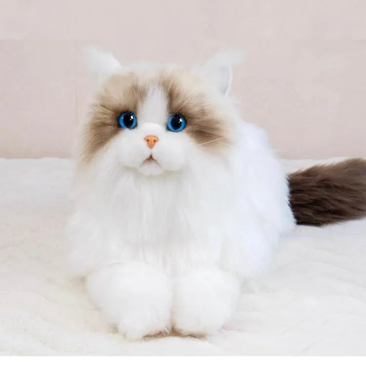 Chongker Stuffed Animals Plush - Ragdoll Cat image indicator(2)