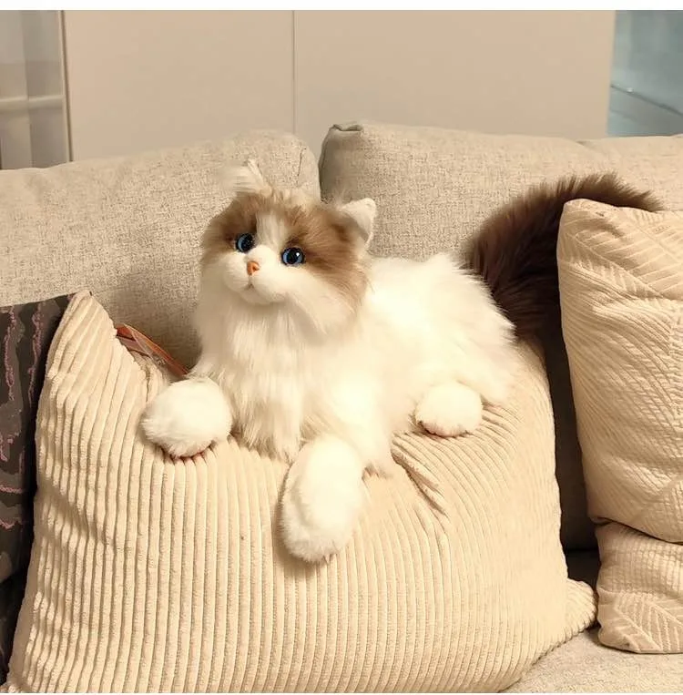 Chongker Stuffed Animals Plush - Ragdoll Cat image indicator(4)