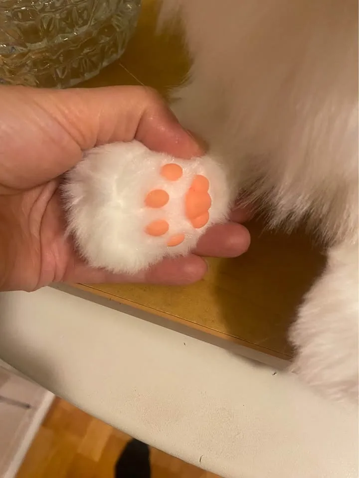 Chongker Stuffed Animals Plush - Ragdoll Cat image indicator(7)