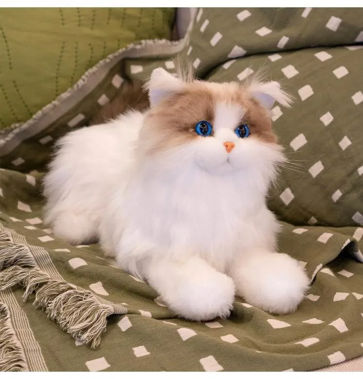 Chongker Stuffed Animals Plush - Ragdoll Cat image indicator(10)