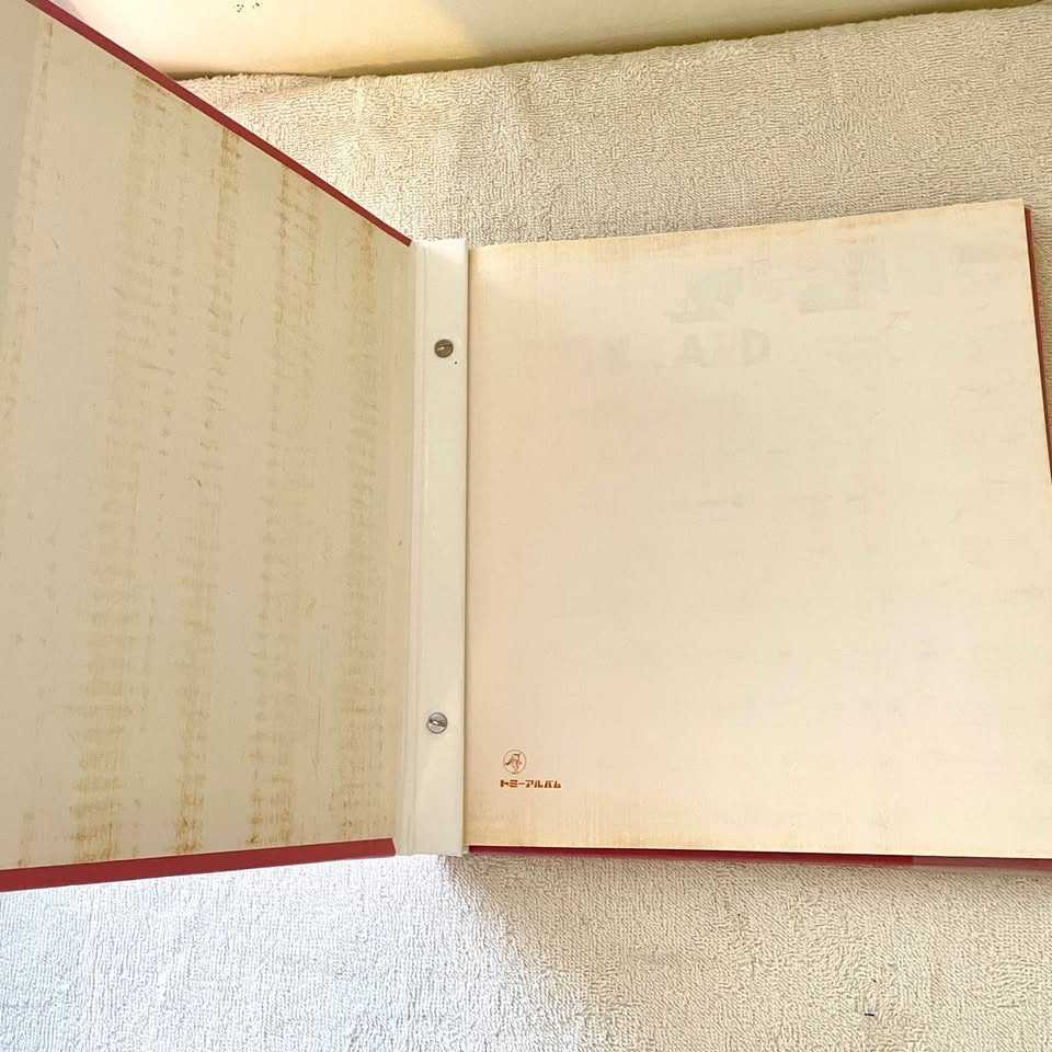 Scrapbook Photo Album – Embroidered Cosmos Cover - photo 5