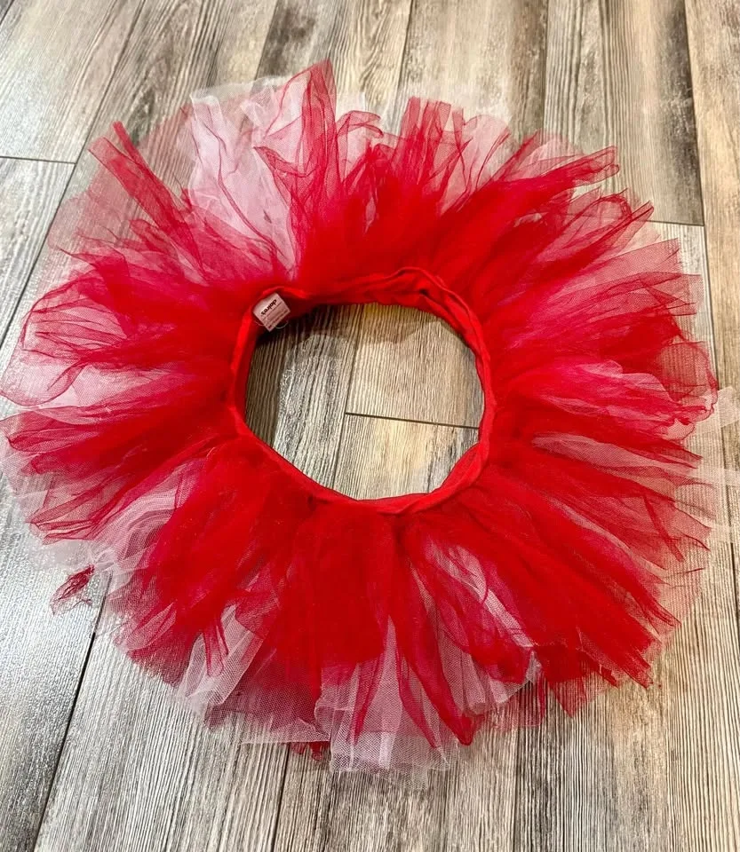 Claire’s dance tutu/dress-up