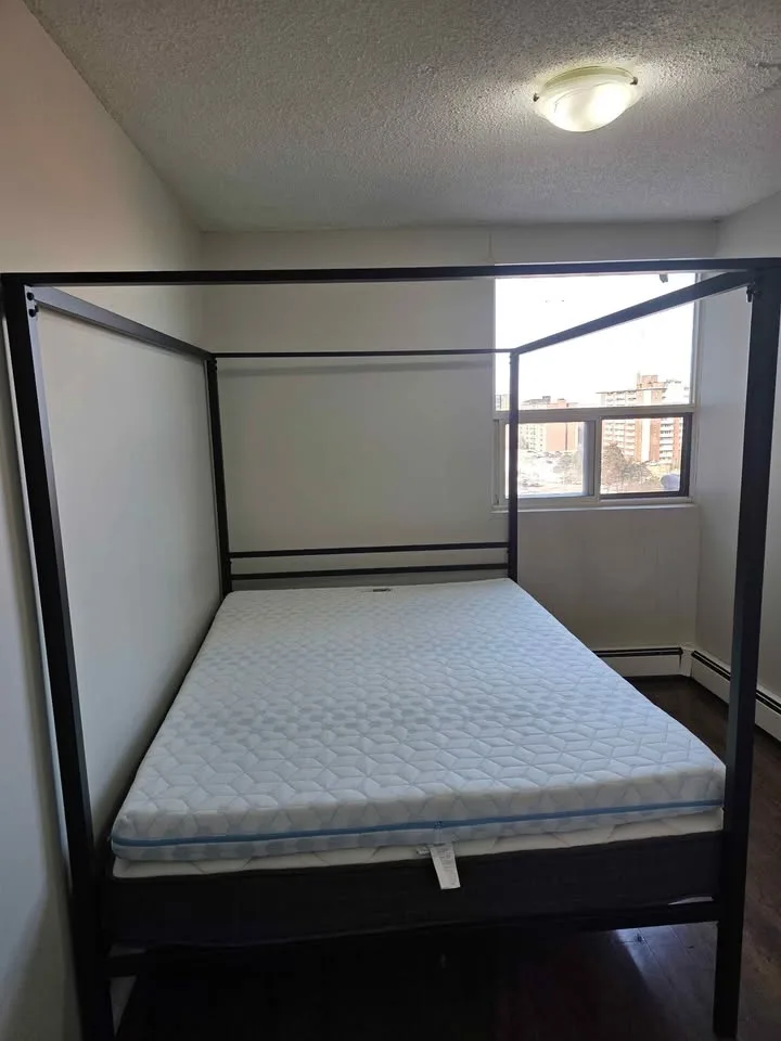 Metal canopy queen bed frame image indicator(2)