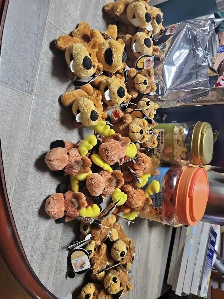 Canadian Souvenir Plush Keychains – 22 Total, 6 Styles