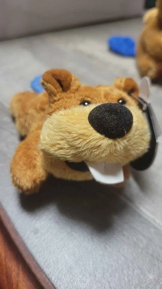 Canadian Souvenir Plush Keychains – 22 Total, 6 Styles image indicator(2)