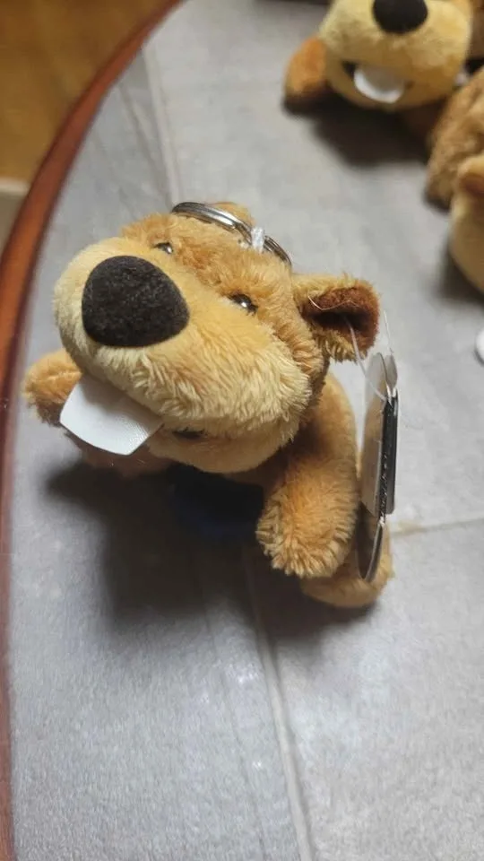 Canadian Souvenir Plush Keychains – 22 Total, 6 Styles image indicator(3)