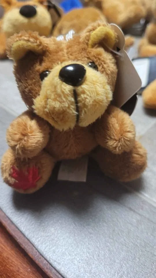 Canadian Souvenir Plush Keychains – 22 Total, 6 Styles image indicator(4)