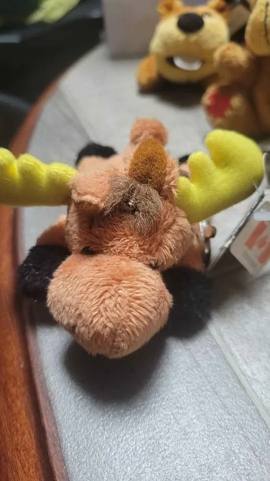 Canadian Souvenir Plush Keychains – 22 Total, 6 Styles image indicator(5)