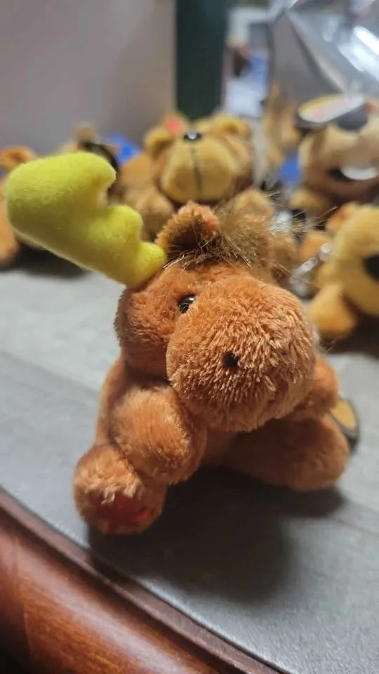 Canadian Souvenir Plush Keychains – 22 Total, 6 Styles image indicator(6)