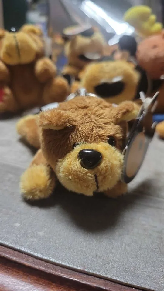 Canadian Souvenir Plush Keychains – 22 Total, 6 Styles image indicator(7)