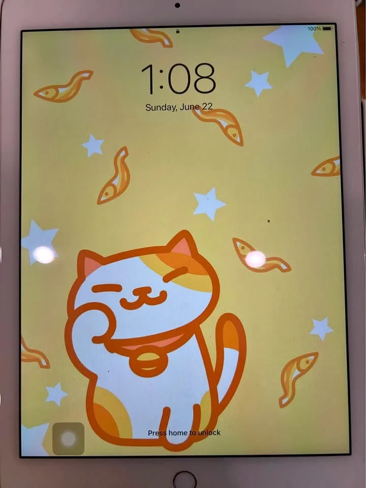 iPad Air 2, 2013 32 GB