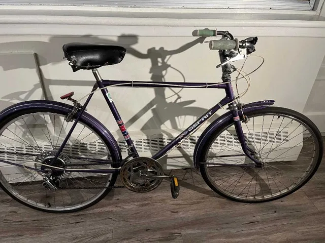 Bicycle lot image indicator(3)