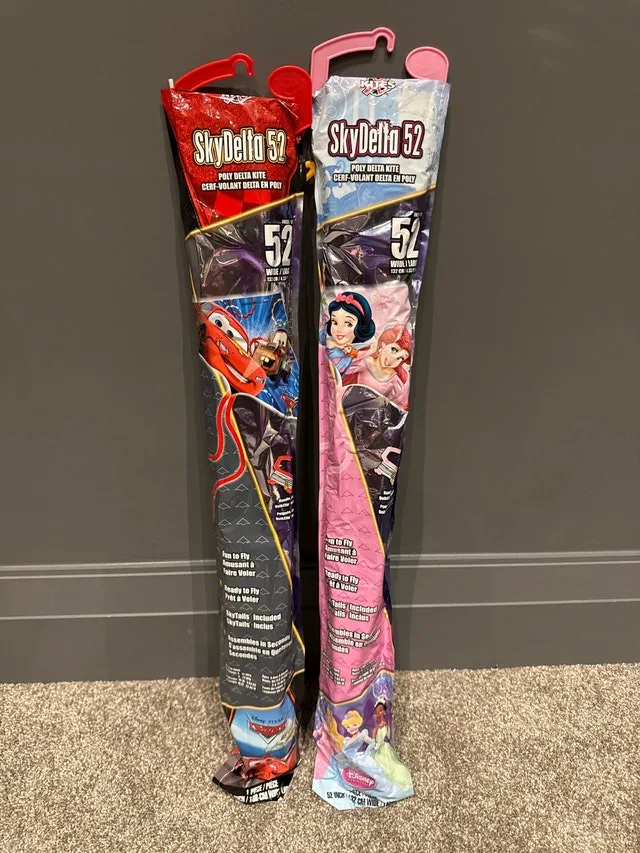 Disney Kite Bundle