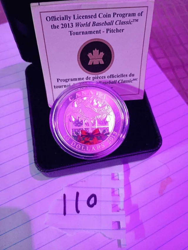 2013 $10 Silver Coin