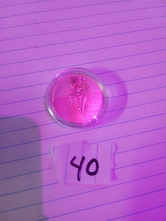 Royal Canadian Mint $20 Fine Silver Coin