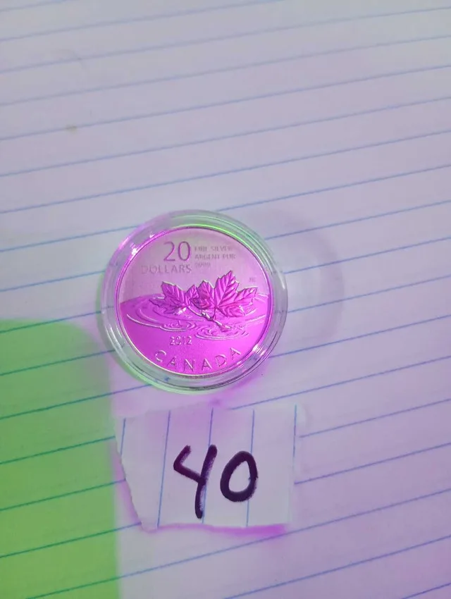 2012 $20 Fine Silver Coin