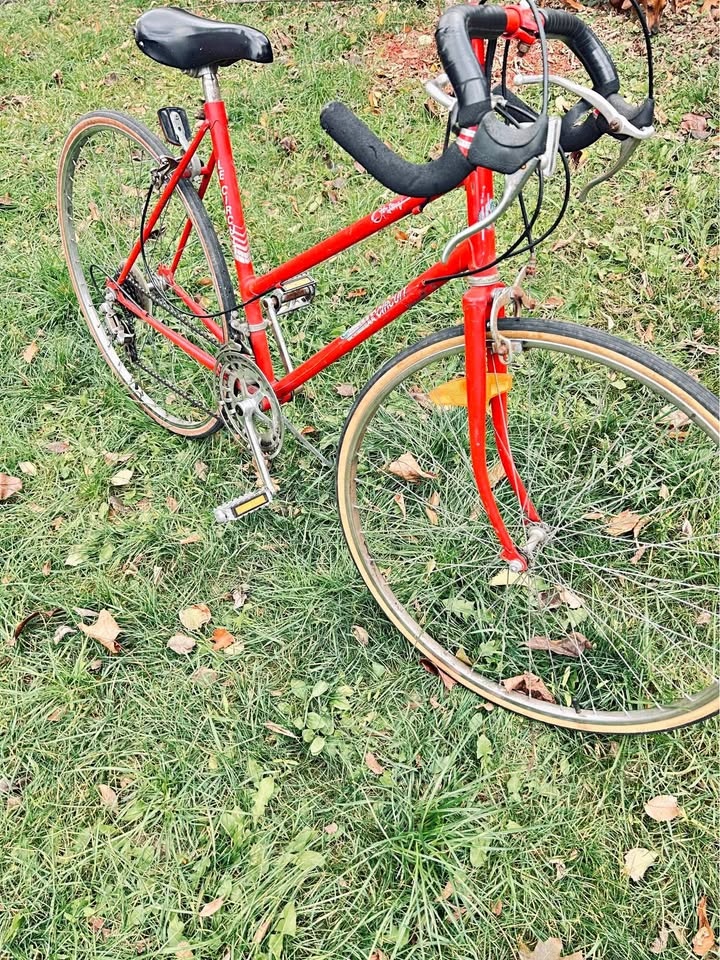 Norco Charger 9.3