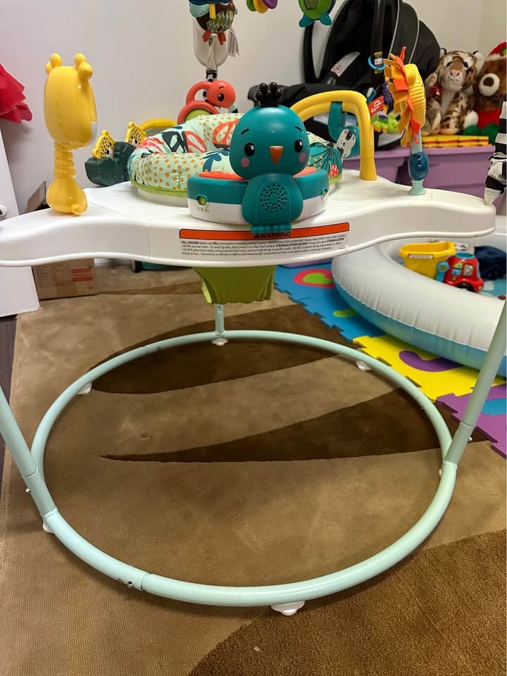 Fisher-Price Jumperoo - photo 2