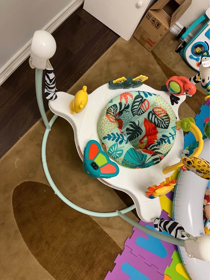 Fisher-Price Jumperoo - photo 3