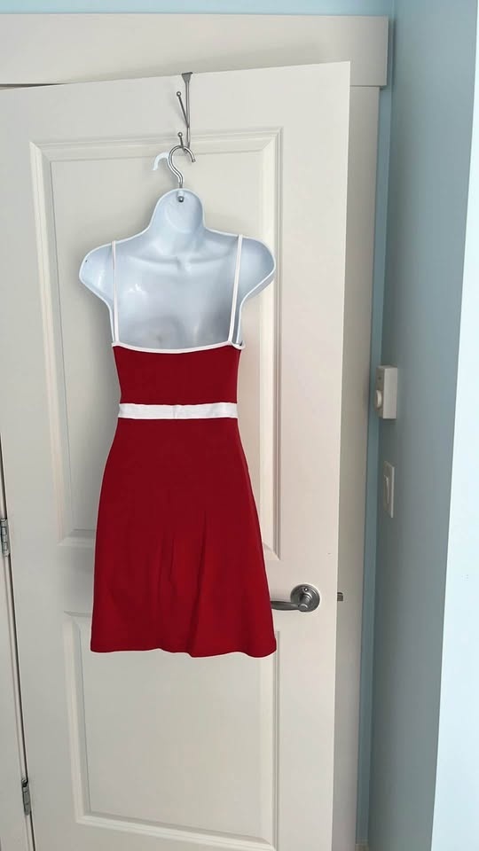 Brandy Melville dress - photo 5