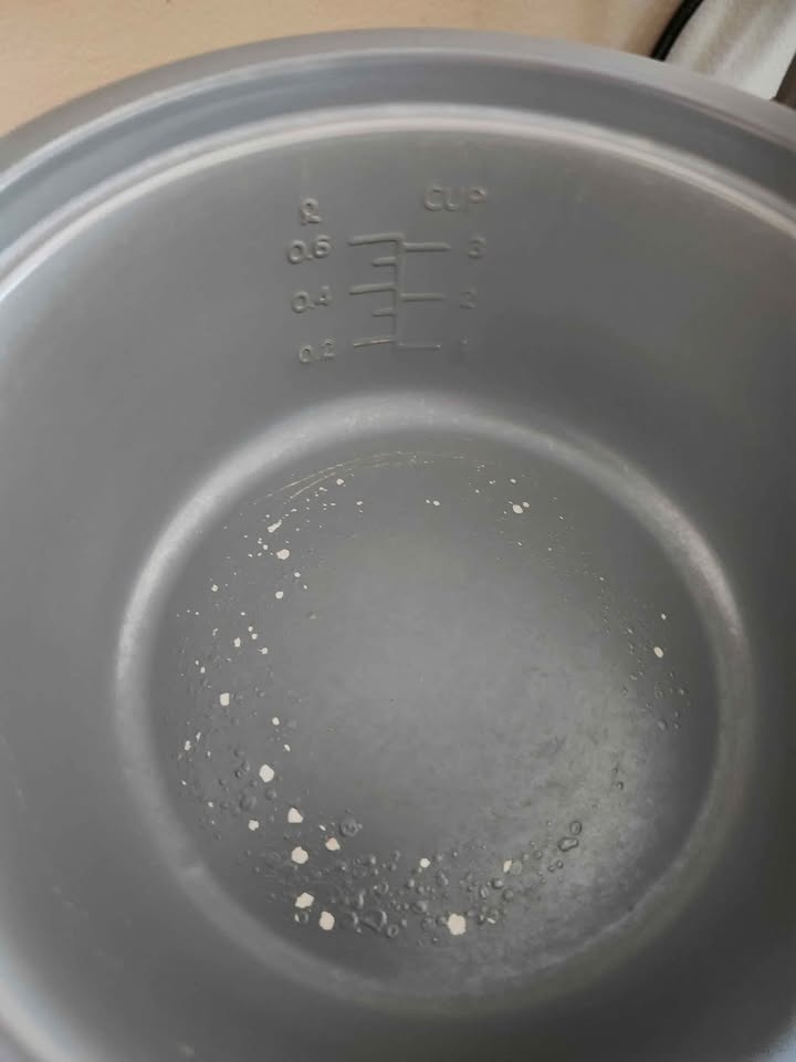 Rice Cooker needs new bowl - photo 2