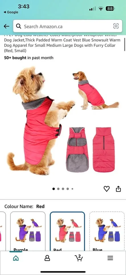 Dog winter jacket/coat - size S