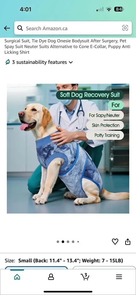 Dog recovery suit