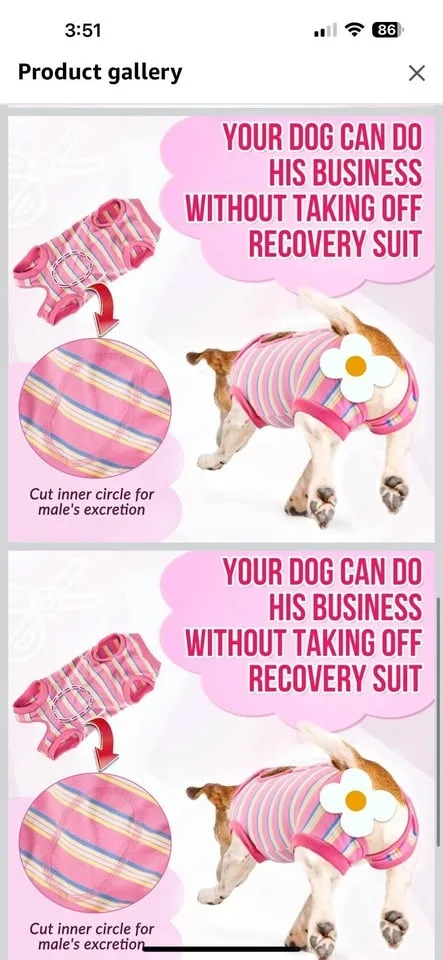 Dog pj/ recovery suit