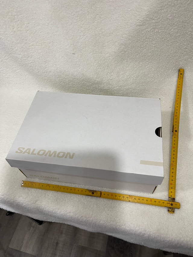 Salomon Shoe Box