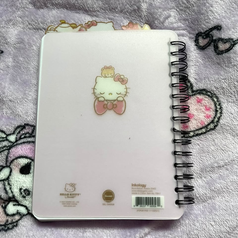 Hello Kitty Notebooks - photo 3