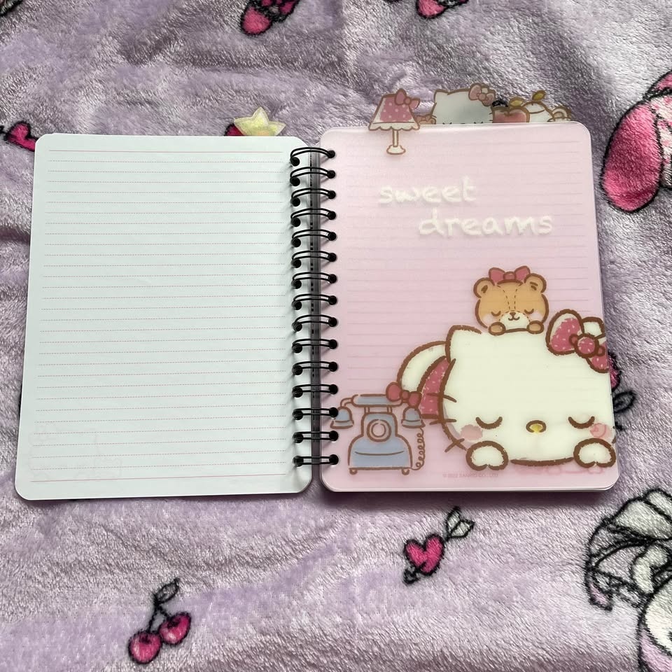 Hello Kitty Notebooks - photo 4