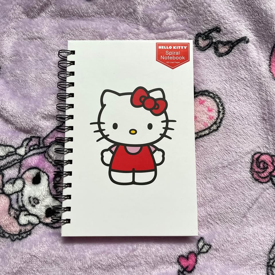 Hello Kitty Notebooks - photo 5