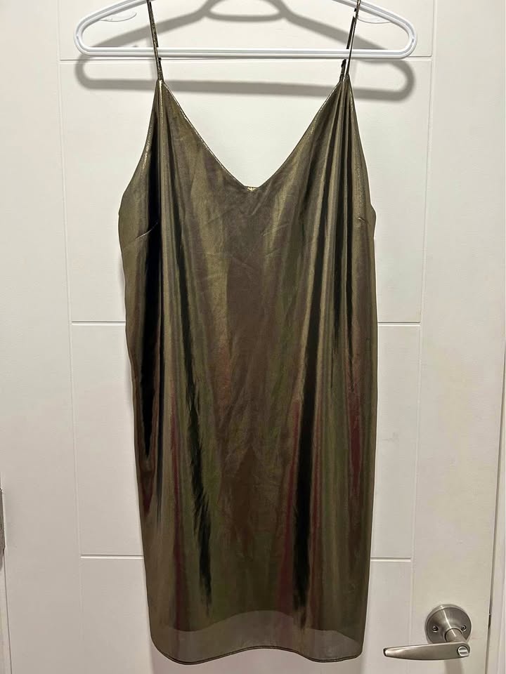 Aritzia Dress