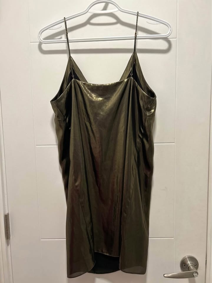 Aritzia Dress - photo 3