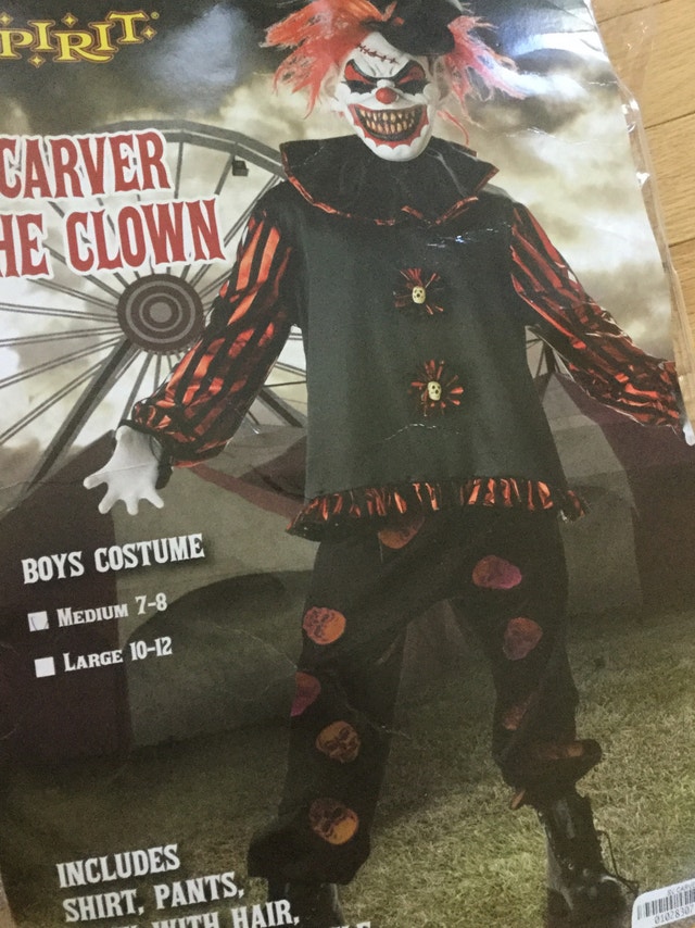 Halloween costumes- many sizes - photo 3