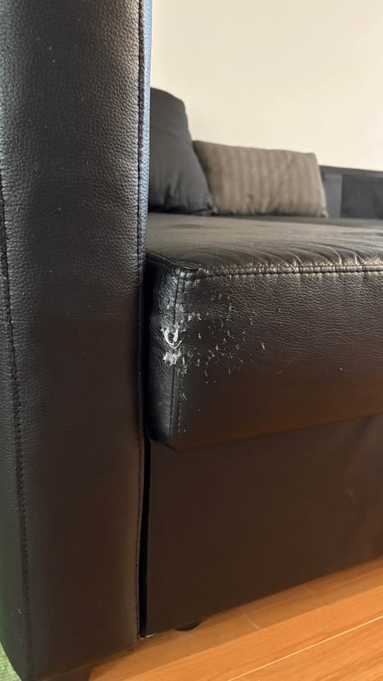 IKEA FRIHETEN corner sofa - photo 3