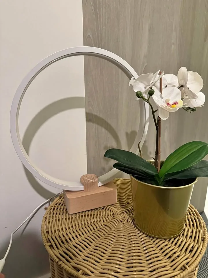 Modern circular lamp