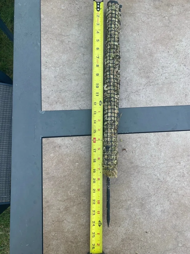 Moss Pole image indicator(4)