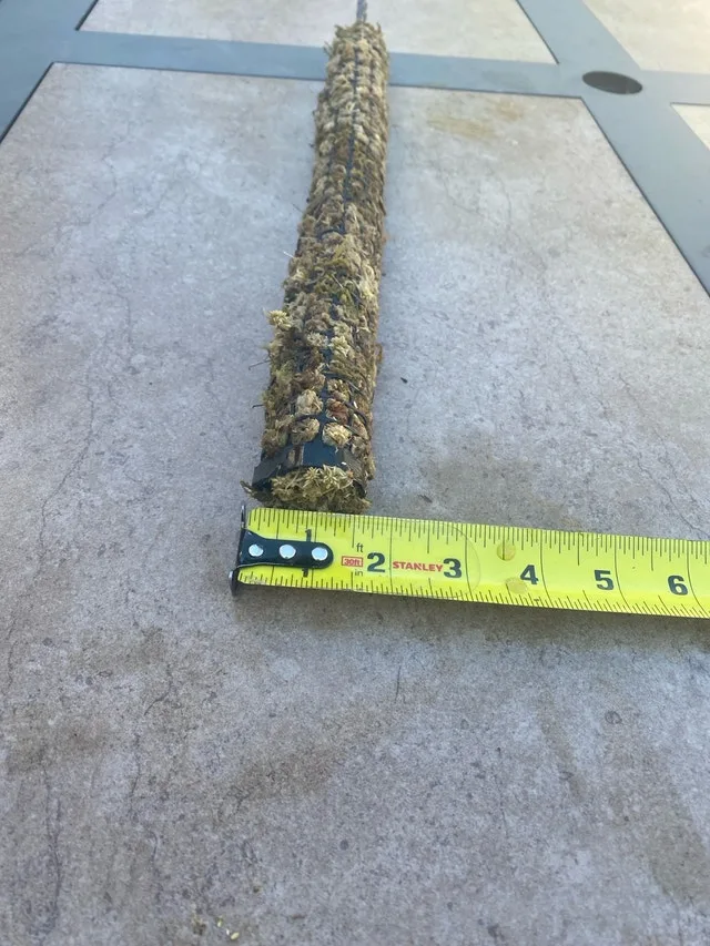 Moss Pole image indicator(5)