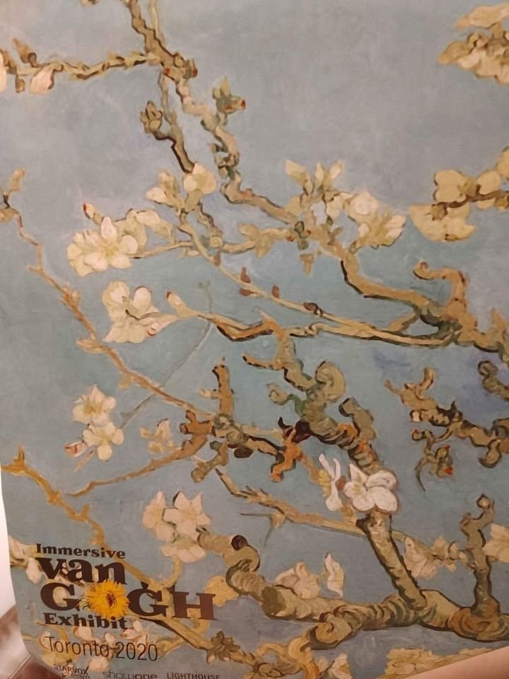 Immersive Klimt and Immersive Van Gogh Posters - photo 3