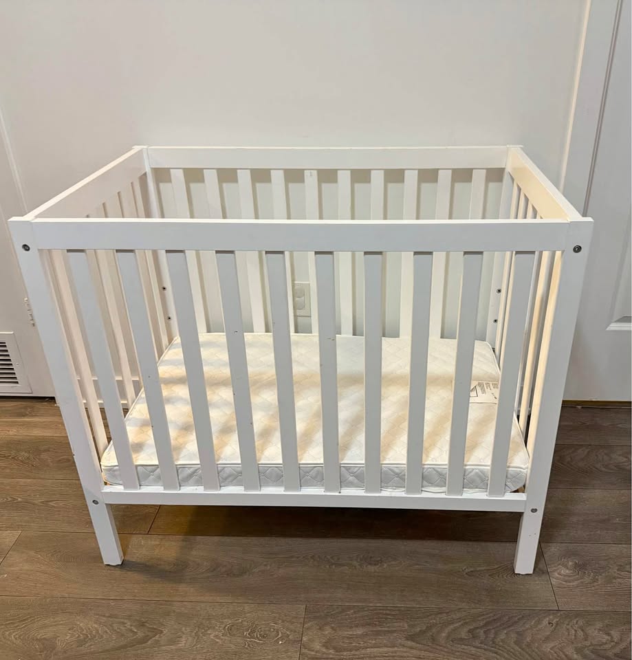 Dream On Me Edgewood 4-in-1 Mini Crib + Mattress