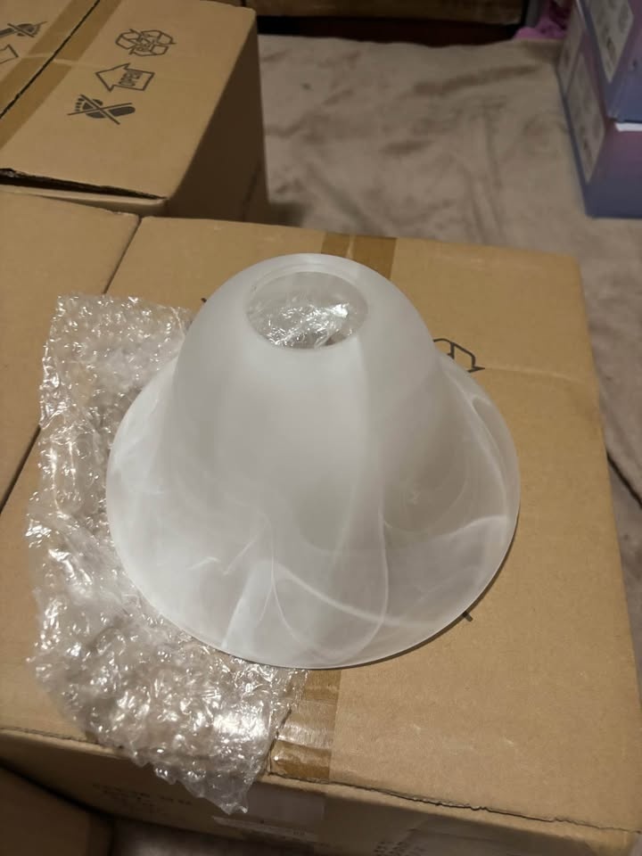 New shell lamps wall cage - photo 2