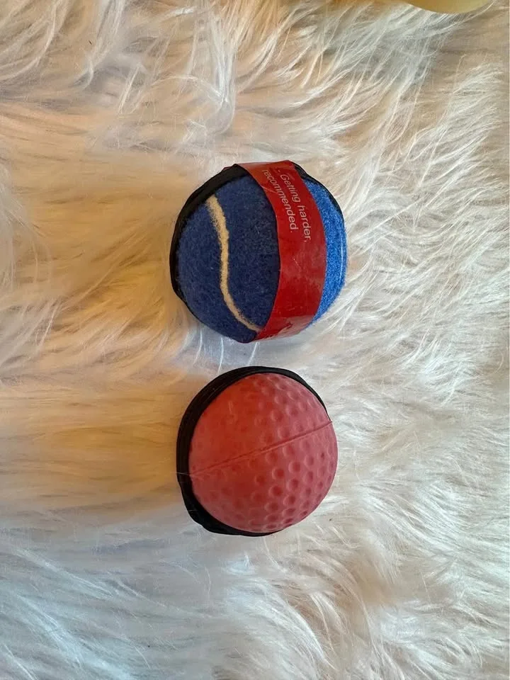 Dog toy balls